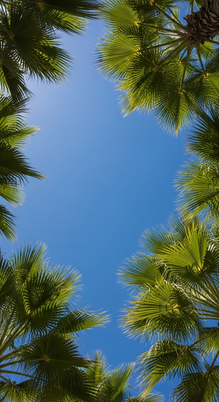 Green palm tree branches framing a clear blue summer sky