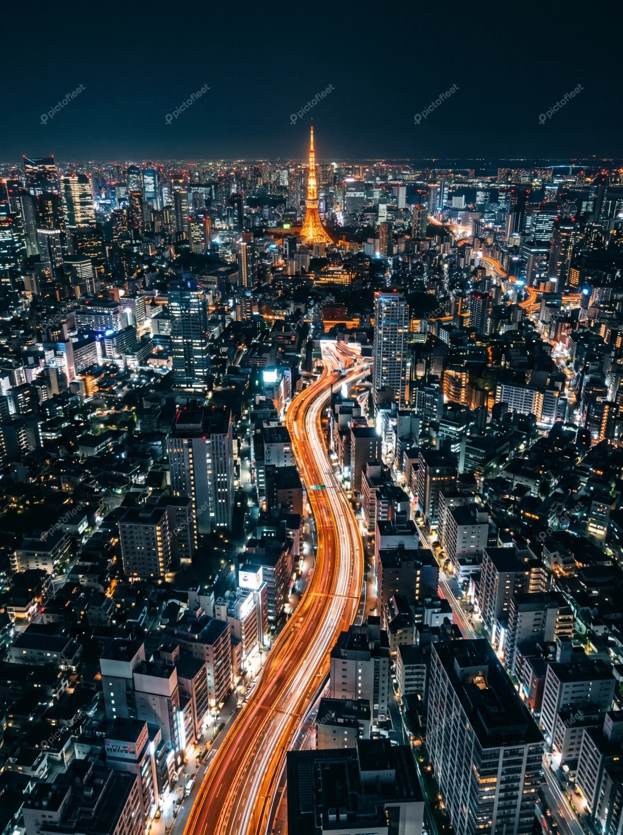 Aerial view of Tokyo skyline with illuminated tower at night