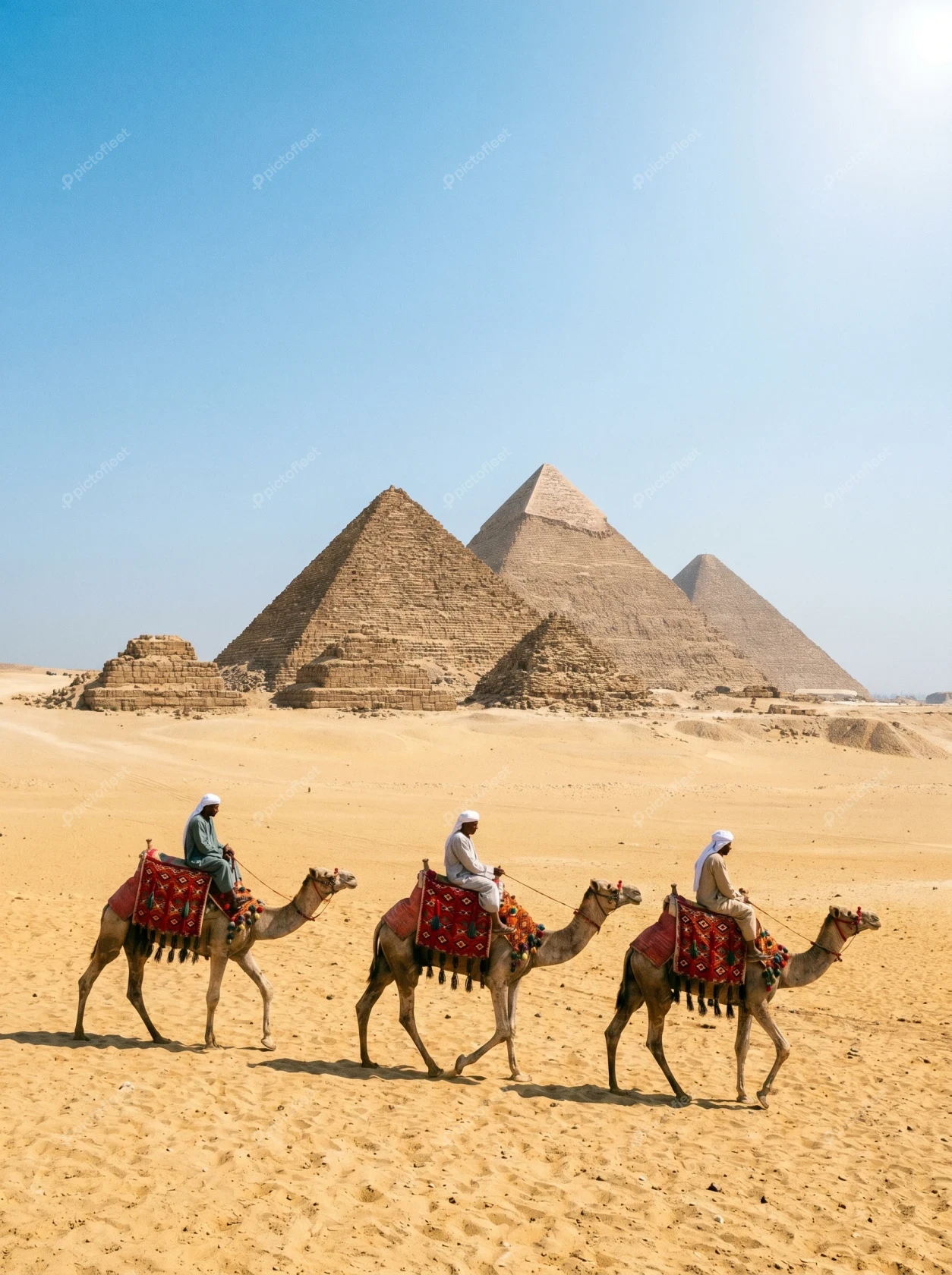 Camel caravan in front of the Great Pyramids of Giza
