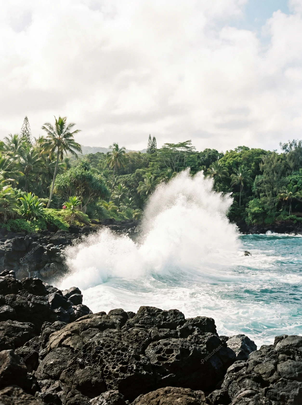 Ocean waves crashing against black volcanic rocks on tropical coast