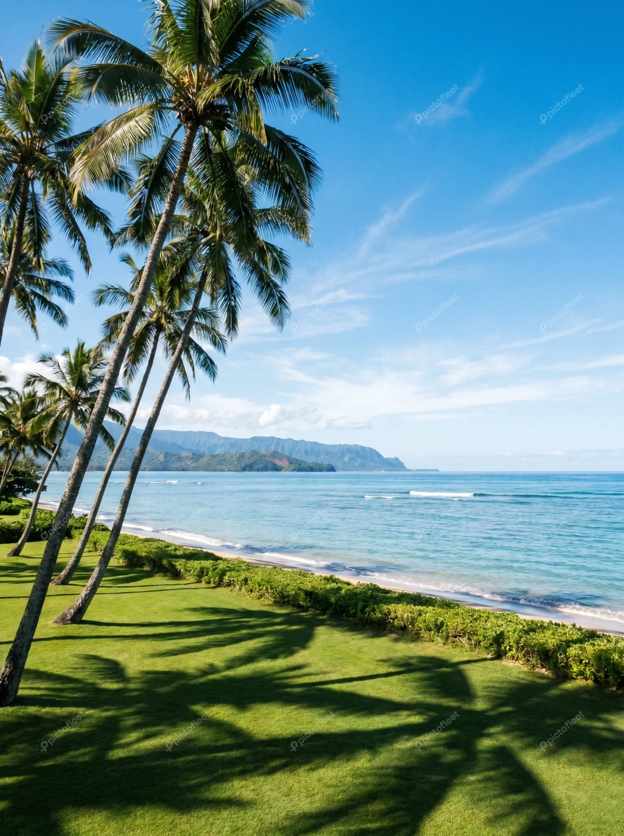 Tropical beachfront with palm trees and scenic ocean view