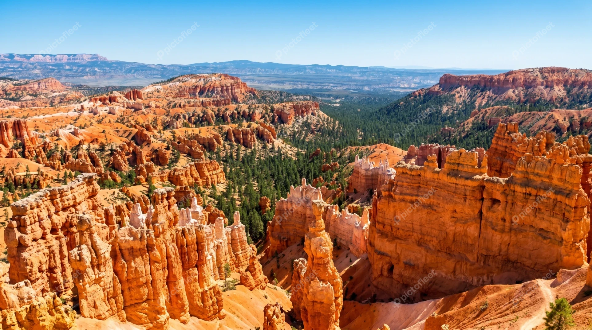 Panoramic view of hoodoos in Bryce Canyon National Park