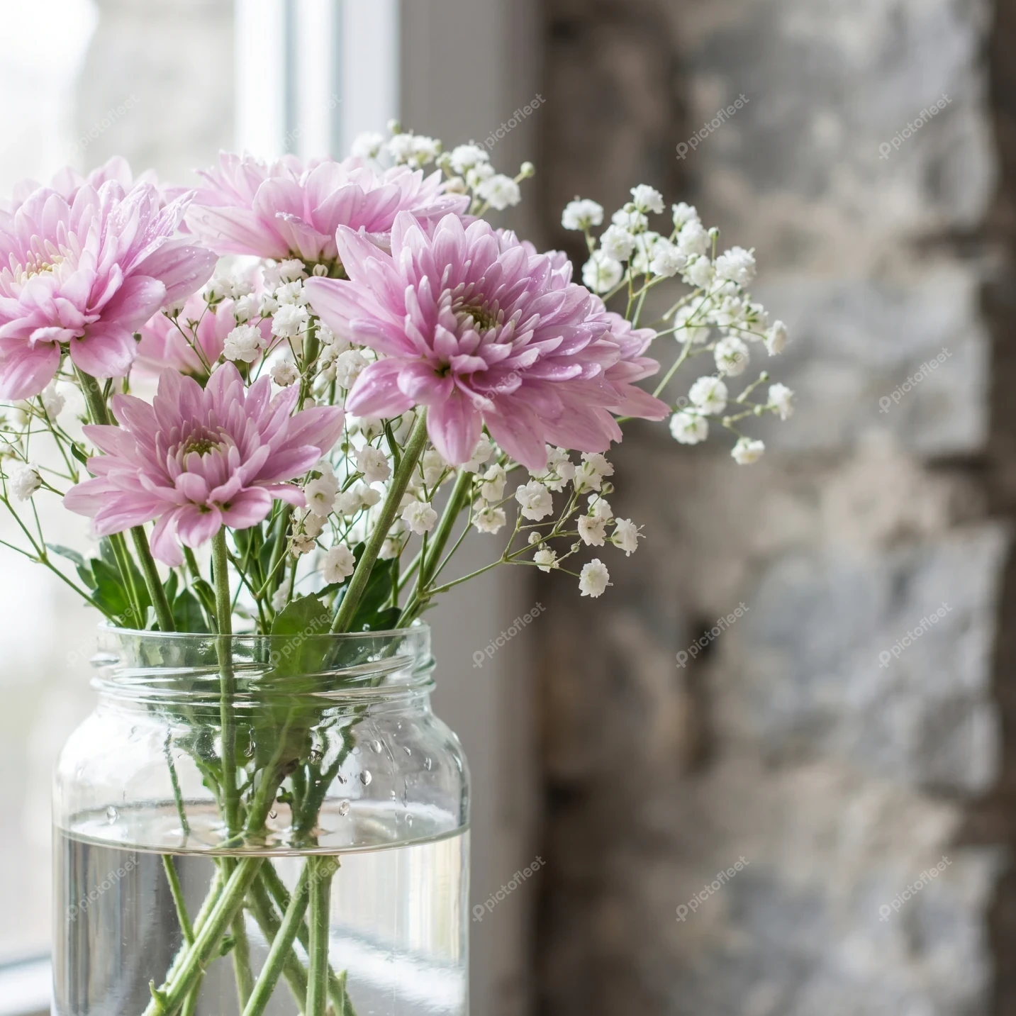 Pink chrysanthemums and baby's breath in a glass mason jar